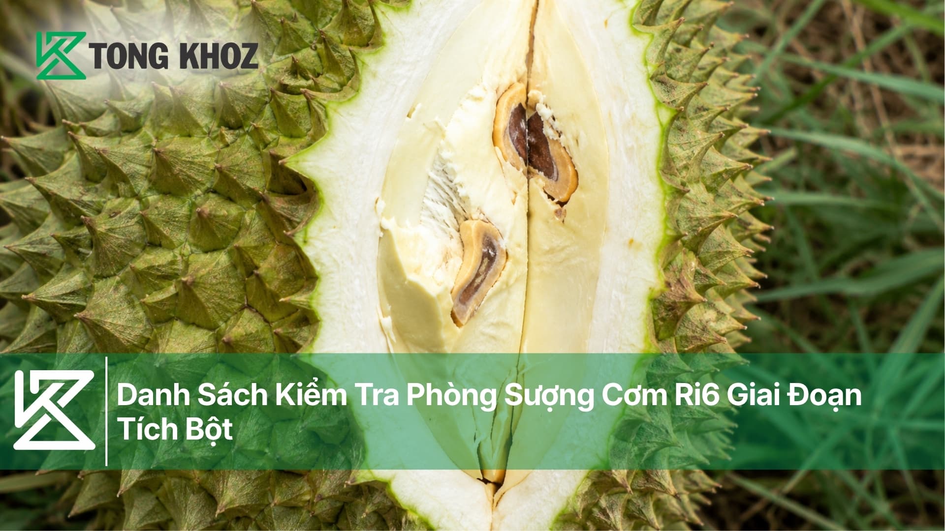 Danh Sách Kiểm Tra Phòng Sượng Cơm Ri6 Giai Đoạn Tích Bột