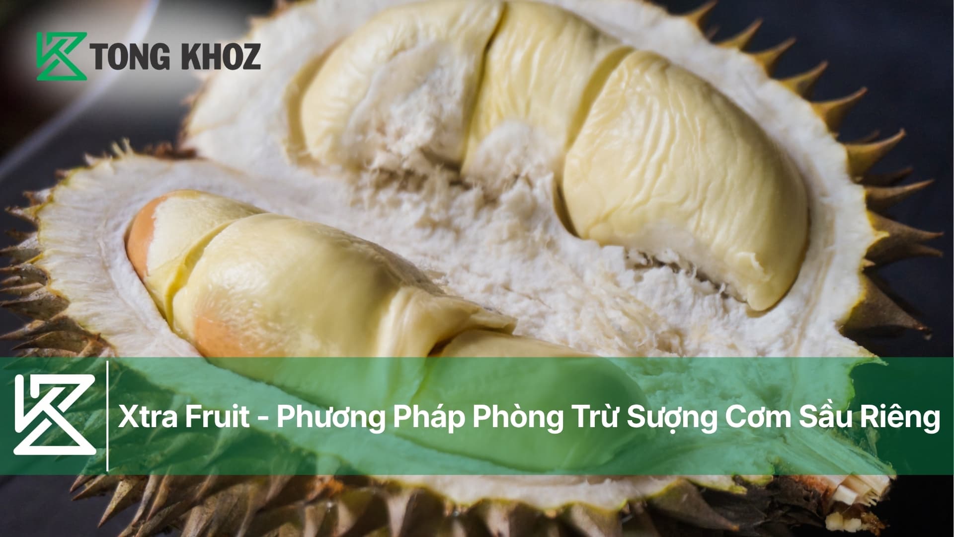 Xtra Fruit - Phương Pháp Phòng Trừ Sượng Cơm Sầu Riêng