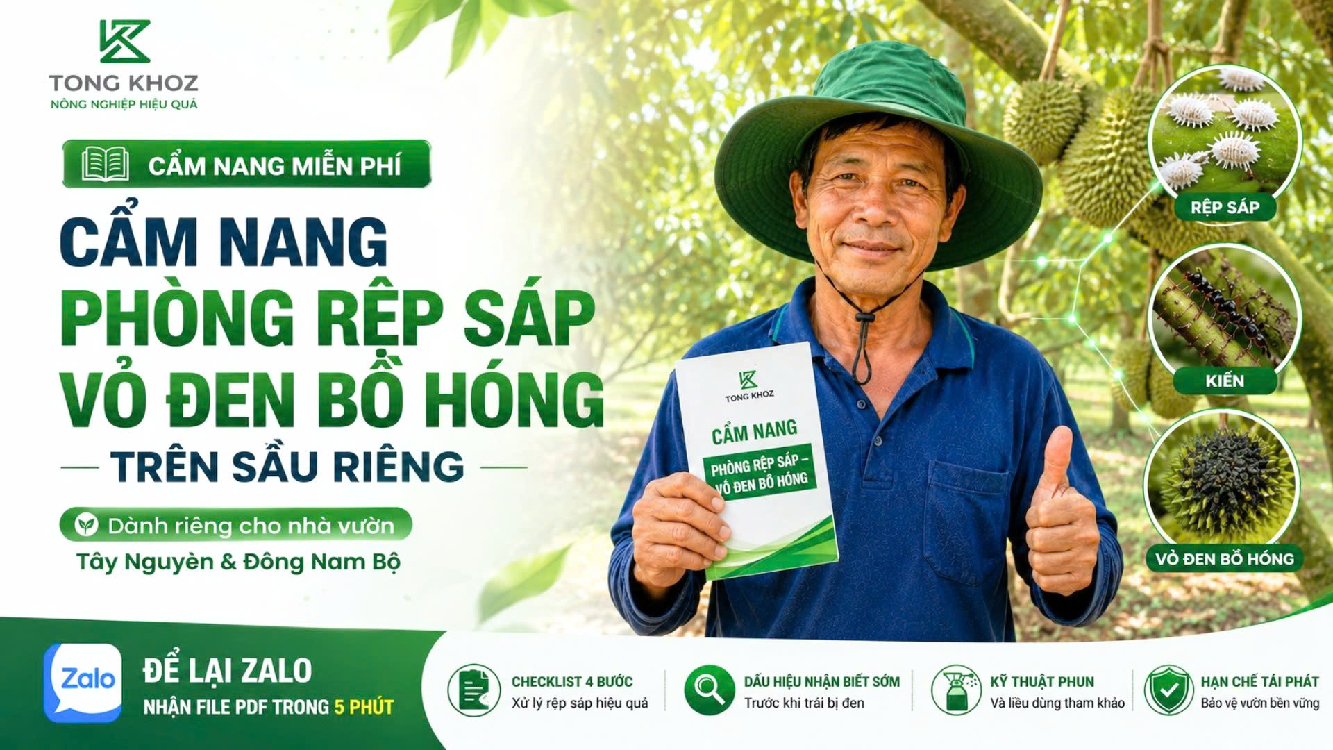 Cẩm nang phòng rệp sáp - vỏ đen bồ hóng trên sầu riêng — Tổng Kho Z